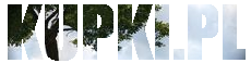 cropped-logo.png Uwolnij wannę na święta – w sieci Lidl w sprzedaży wyłącznie karp w płatach